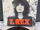 LP T-REX - The Slider | 1st press|  Japan Press | EX+/EX+ | Booklet | Poster