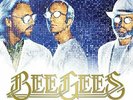 Bee Gees - Timeless - The All-Time Greatest Hits  [VINYL]