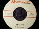 THE APOLLOS-TARGET LOVE-IT'S A MONSTER-1966 FUZZ GARAGE-MONTGOMERY 0011 M- mp3