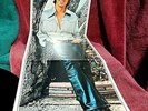 Bobby Sherman Here Comes Bobby LP PLAY GRADED Fully Tested
