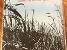 Another Sunny Day Im In Love With A Girl 7” Sarah 7