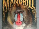 Mandrill - Self Titled S/T Debut LP 1st Press RL Ludwig 1971 Jazz Rock Sterling
