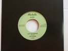 THE ILLUSIONS- WAIT TILL THE SUMMER b/w CITY OF PEOPLE LTD REPRESS NEW /UNPLAYED