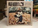 Dan Auerbach Waiting on a Song Yellow Black Marbled SIGNED (Black Keys) RARE OOP