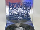 TERRORVISION 'How To Make Friends & Influence People' 1994 Vinyl LP - H08