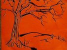 Complex - Complex Vinyl LP Orange Colour RSD 2021 NEW