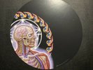 TOOL Band Official Lateralus Vinyl LP Picture Disc Paper ???