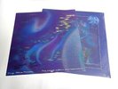 DRUG STORE ROMEOS - THE WORLD WITHIN OUR BEDROOMS  LTD BLUE VINYL & SIGNED PRINT