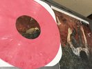 Counterparts PINK MARBLE PUTTY LTD 110  The Current Will Carry Us VINYL RECORD