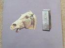 Wire A Bell Is A Cup LP