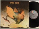 Rare Bird  Self-Titled    Prog; Psych