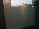 The Mars Volta - De-Loused In The Comatorium - Vinyl Me Please VMP Gold LP