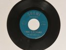 The Wild Ones Suemi 4555 I Want To Be Friendly & Somethings Wrong TX Garage 45