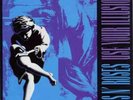 Use Your Illusion II by Guns N' Roses (2 LP, Vinyl, 2012)