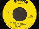 PEPS: you never had it so good / detroit, michigan D-TOWN 7