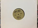Lynn Lavner - Ladies Don’t Spit & Holler - Private Press Lesbian/Gay LP VG++/NM-