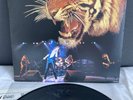 LP Tygers Of Pan Tang - Tygers Of Pan Tang | Japan Press | M/EX+