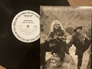 Aerosmith Lp White Label Promo Copy Of Night in the Ruts Rare Ex/Ex Fc 36050