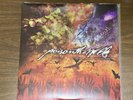 Poison The Well The Opposite Of December / Tear From The Red 2xLP Clear Vinyl