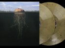 The Mars Volta De-Loused in the Comatorium 2-LP   Gold/Black Marble + Art Print