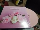 WE ARE THE UNION ORDINARY LIFE PINK LP LESS THAN JAKE CATCH 22 MIGHTY BOSSTONES