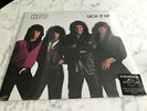 KISS Lick It Up LP vinyl record 33 - new sealed 2014