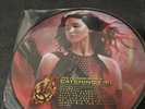 THE HUNGER GAMES Catching Fire 2x LP Vinyl Picture Disc(s)
