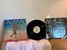 OINGO BOINGO ONLY A LAD LP SP-4863 A&M RECORDS 1981 VG++