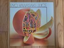 Ryo Kawasaki Juice Vinyl LP RCA Victor 1976 Jazz-Funk Fusion