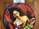 Celeste Not Your Muse Vinyl Album Special Edition Picture Disc DAMAGED SLEEVE