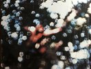 PINK FLOYD OBSCURED BY CLOUDS LP 1972 Capitol SW-11078 Vinyl Nice EX Cover NM
