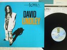 DAVID LINDLEY EL RAYO-X ASYLUM P-11016Y Japan VINYL LP