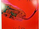 Authentic Alice Cooper / KILLER / Vinyl LP Near Mint / 1971 Warner / w/Calendar