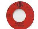 THE FIFTH GENERATION Purple Haze 45 RECORD RARE PRIVATE IOWA GARAGE Jimi Hendrix