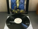 SEPULTURA 12