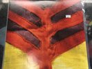 Yeah Yeah Yeahs Show Your Bones Original Vinyl Record LP Y-130