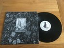 Flux of Pink Indians-Strive to survive causing least suffering possible.lp