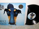 BIG COUNTRY Why The Long Face LP Rare Orig 1995 UK 1041/3000 Limited Press NM-