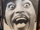 Little Richard ?– Mono Box: The Complete Specialty and Vee-Jay, Vinyl Box Set NM