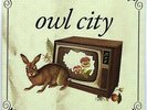 Owl City 