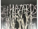 The Decemberists: The Hazards Of Love Vinyl Record 2LP 2009