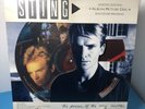 STING The Dream Of The Blue Turtles Vinyl LP Picture Disc / Souvenir Edition.