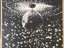 Neil Young and Pearl Jam - Mirror Ball (record LP Vinyl Album)
