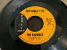 THE ESQUIRES- HOW CAN IT BE/I KNOW I CAN- BUNKY 7756