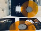 Tool Aenima 2LP Transparent Orange GOLD Out-Of-Print  Ænima vinyl