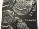 The Sundays Reading Writing And Arithmetic Vinyl 1990 First Press 19119 CP