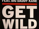 Stanton Warriors Feat. Big Daddy Kane - Get Wild (12
