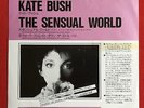 KATE BUSH -The Sensual World- Rare Japanese White Label Promo 7