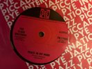 Psych 45 The Slade Brothers  Peace in my mind/Life’s great race  PYE 7N17080