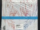 Hikaru Utada One Last Kiss Vinyl Record Shin Evangelion Sealed LTD Mega Jacket